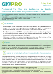 Progressing the ‘Safe and Sustainable by Design’ Framework for Greener Enzyme-based Innovations