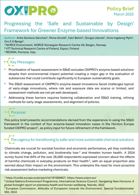 Progressing the ‘Safe and Sustainable by Design’ Framework for Greener Enzyme-based Innovations